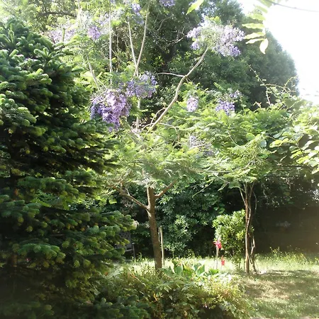 Porto.arte Guest Apartament