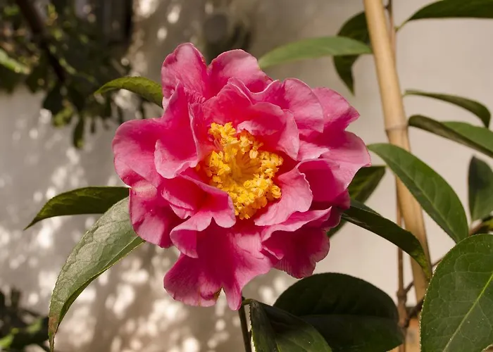 Apartament Porto.arte Guest *