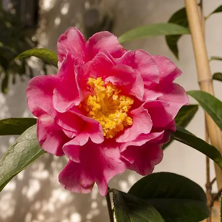 아파트 Porto.arte Guest *